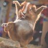 пользователь All-Night-Dancing