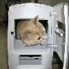 пользователь dnbmaniac