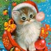 пользователь djAsya