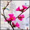 пользователь VB
