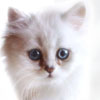 пользователь LuXuRyPr0m0