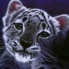 пользователь Andrey9