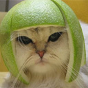 пользователь HelloKittty