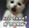 пользователь kinostudiya