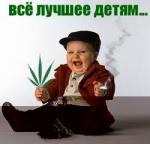 пользователь mandragora