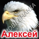 пользователь defender06