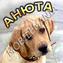 пользователь ANGELOCHECK