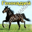 пользователь lily23