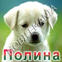 пользователь Tatusyaka