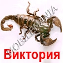 пользователь doktor77