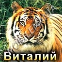 пользователь 579