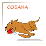 пользователь paradisss