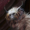 пользователь Lucefer